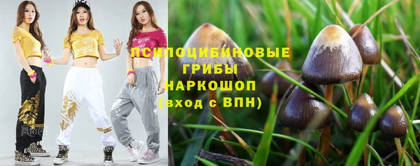 эйфоретик Горнозаводск