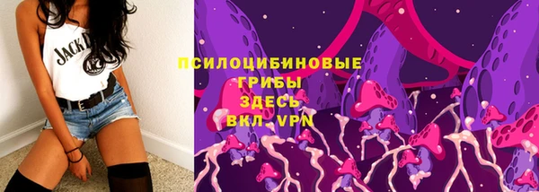 эйфоретик Горнозаводск