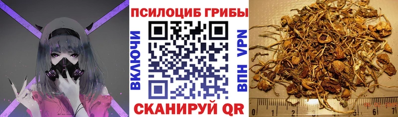 Псилоцибиновые грибы MAGIC MUSHROOMS  Старый Оскол 